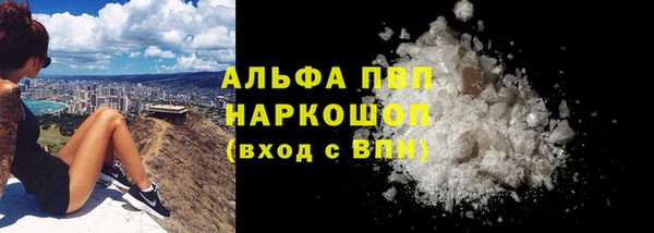 PSILOCYBIN Беломорск
