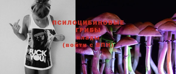 MESCALINE Богородицк