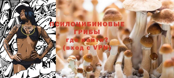 PSILOCYBIN Беломорск