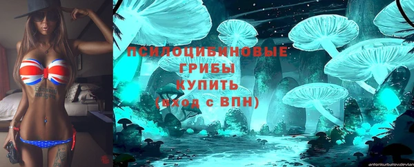 стаф Богородск