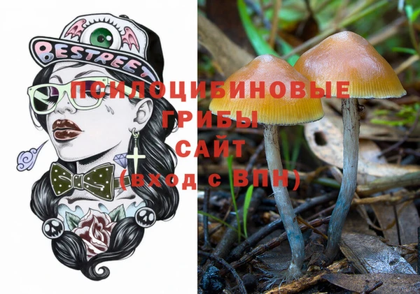 метамфетамин Богданович