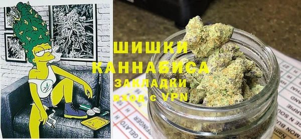 стаф Богородск