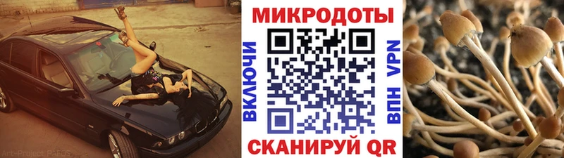 мега зеркало  Реж  Галлюциногенные грибы Psilocybine cubensis 